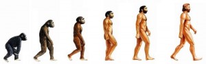 evolution_homme